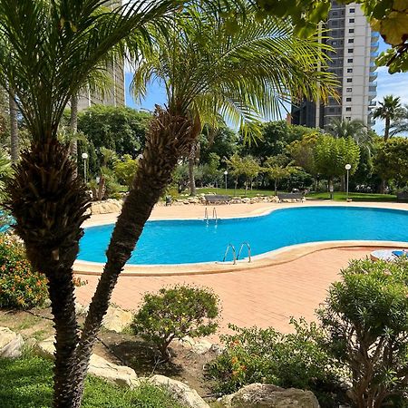 Murtal Apartment Benidorm Exteriér fotografie