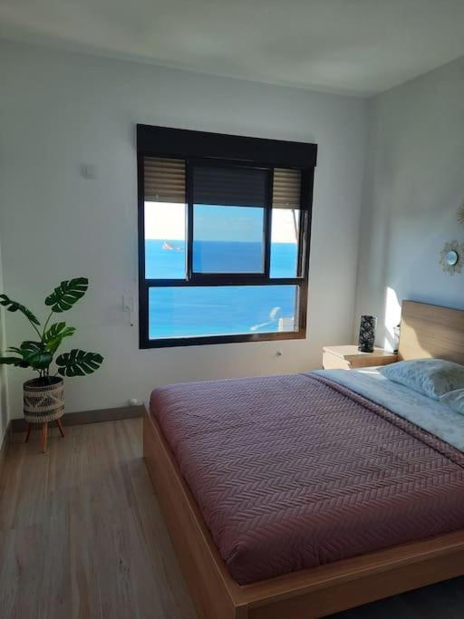 Murtal Apartment Benidorm Exteriér fotografie